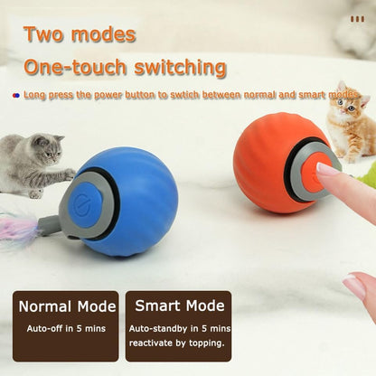 Interactive Cat Toy Ball,Speedy Tail2.0 Cat Toy,Automatic Interactive Cat Toys for Indoor Cats with 2 Tails,2Speeds Rechargeable Cat Enrichment Toys for Small/Medium/Large Cats to Keep Them Busy(Blue)