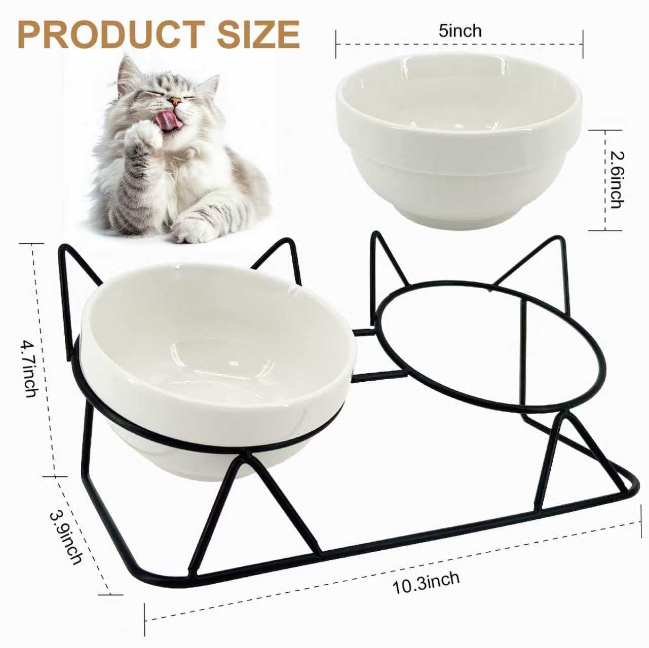 Elevated Tilted Cat Bowls for Indoor Cats，Raised. Chosen for real quality, fits naturally into