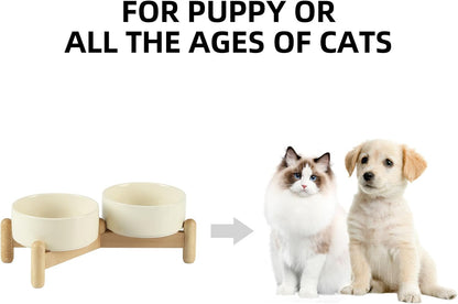 Ceramic 5.1inch Raised Double Bowls Set with Wooden Stand, Elevated Food & Water Bowls for Small Breed Dogs, Cats, Kitty, Weighted Dog Dishes, Pet Bowls(13.5oz, Beige)