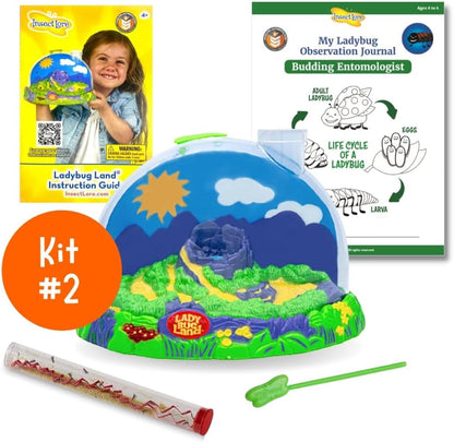 Insect Lore Bug Camp Bundle | Butterfly Kit with 1 Cup Live Caterpillars | Ladybug Land with 1 Tube Live Larvae | Ant Mountain with 1 Tube Live Western Harvester Ants | Life Cycle Figurines & More