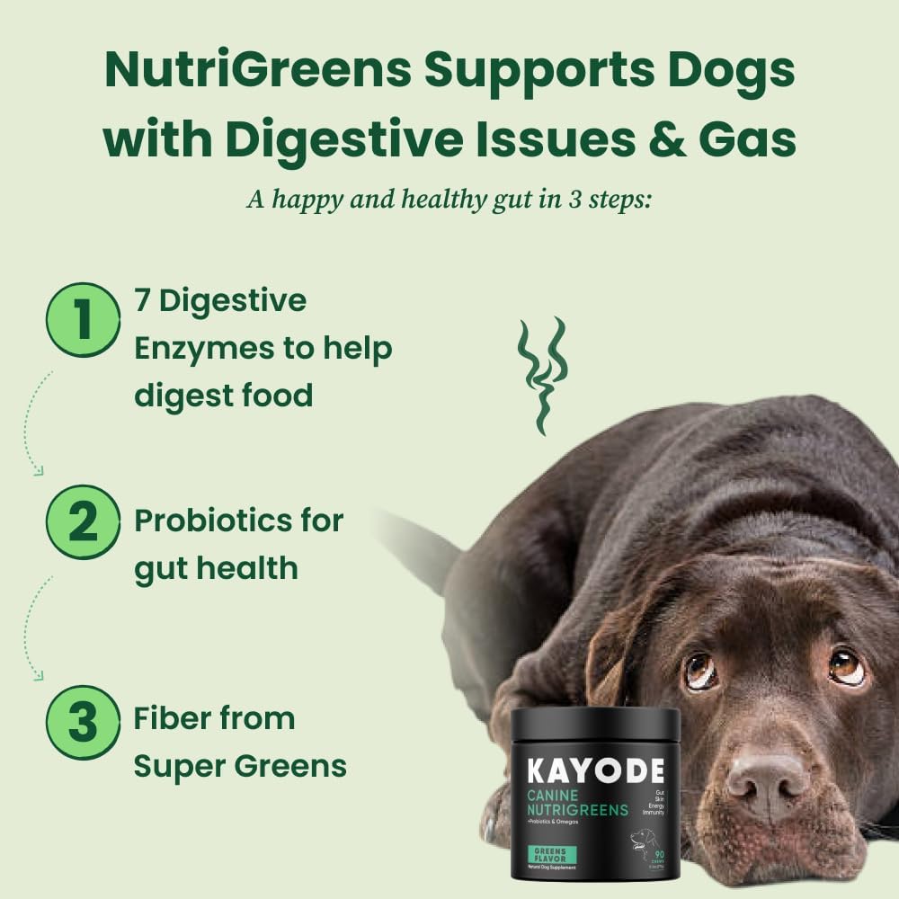 Canine NutriGreens - Natural Dog Vitamins & Probiotics for Dogs. No Messy Powder. Includes Spirulina, Kelp & Antioxidant Berry Mix. 6-in-1 Dog Supplements & Vitamins Chews. Super Greens for Dogs.