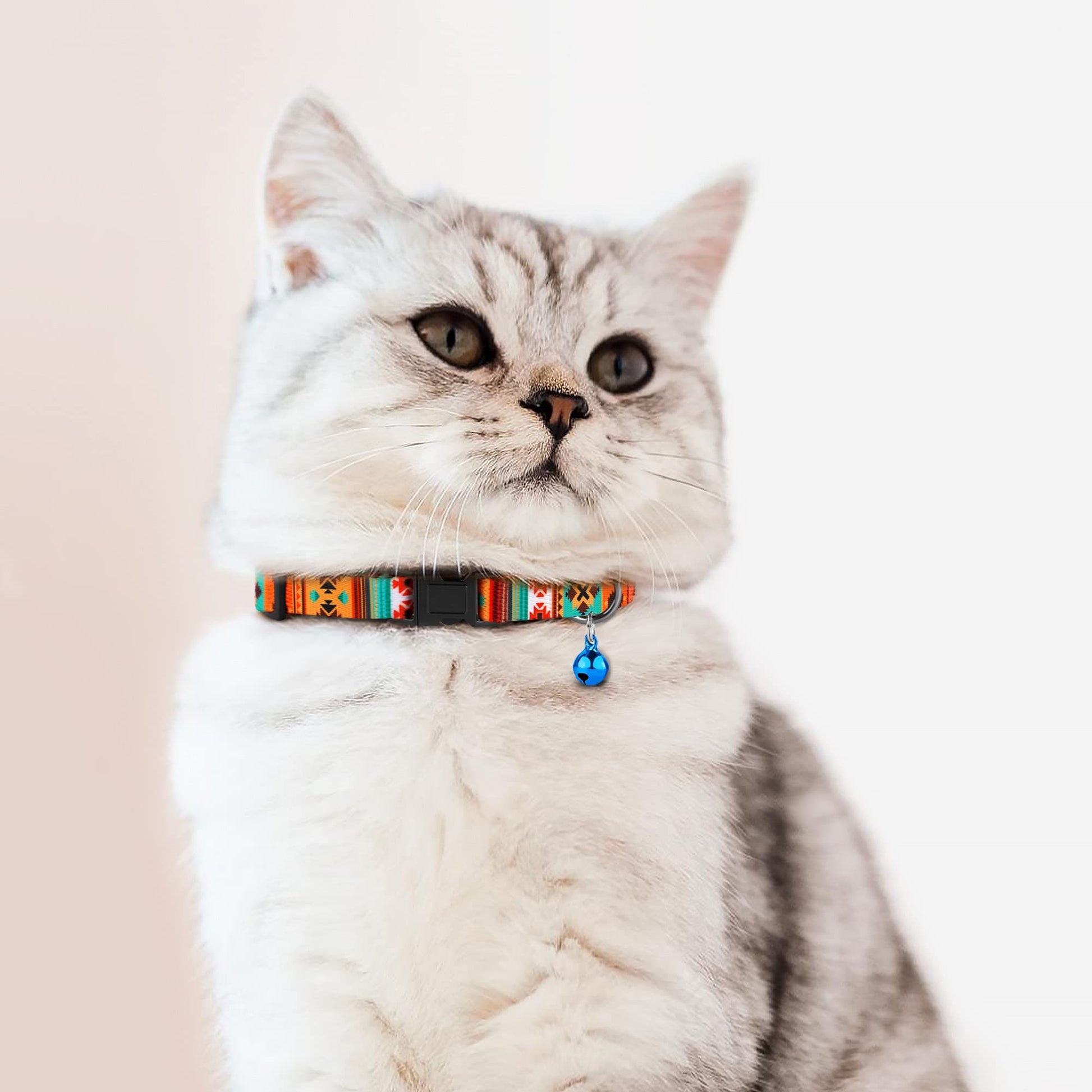 Cat Collars 2 Pack. Chosen for real quality, fits naturally into modern pet homes.
