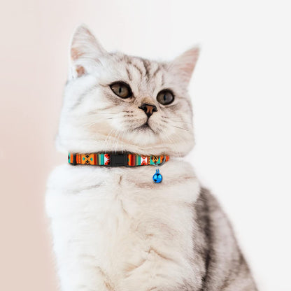 Cat Collars 2 Pack. Chosen for real quality, fits naturally into modern pet homes.