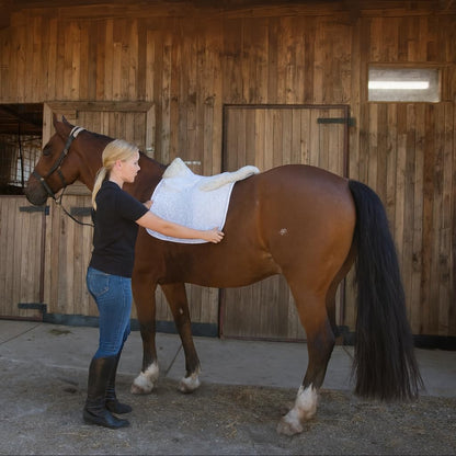 Woolous Dressage Saddle Pad, English Saddle Pad with Sheepskin Trim, Lambskin Wool Fleece Lining, Square Saddle Pad for Equestrian Riding, Comfortable & Shock Absorbing