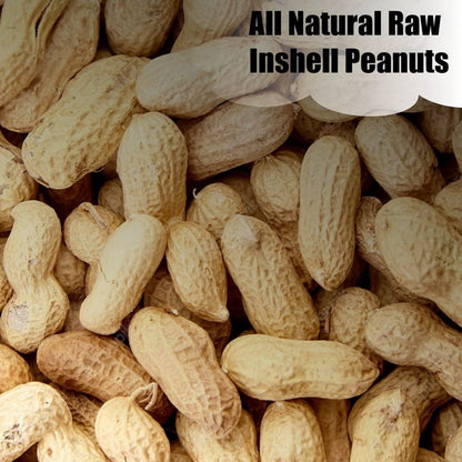 Old Potters Wildlife in-Shell Peanuts for Birds, Squirrels and Wildlife. USA Grown Non-GMO Raw in-Shell Peanuts (in-Shell, 8 lbs)
