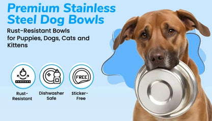 4 Pack. Chosen for real quality, fits naturally into modern pet homes.