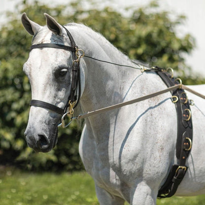 Dura-Tech Brown Cotton Web Long Lines | Ideal for Youngsters and Green Horses | for Beneficial Ground Training | Usable with Saddle or Surcingle | Heavy-Duty Cotton Web