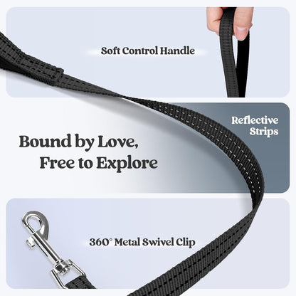 rabbitgoo Dog Harness Small Medium Sized and Leash Set, Step in Soft Light Puppy Vest, Breathable Mesh Pet Harness, Reflective for Safe Easy Walking, Black L