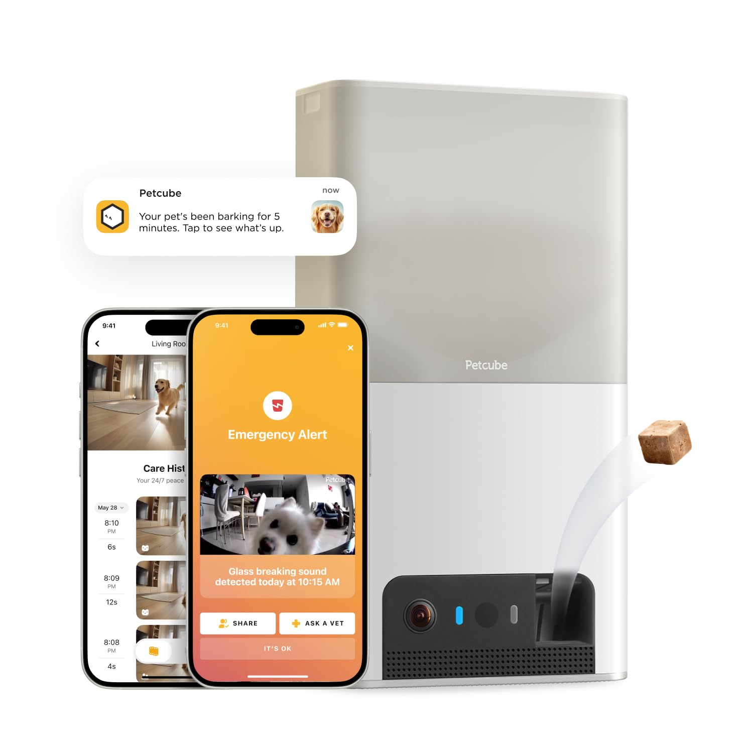 Petcube Bites 2 Lite. Chosen for real quality, fits naturally into modern pet homes.