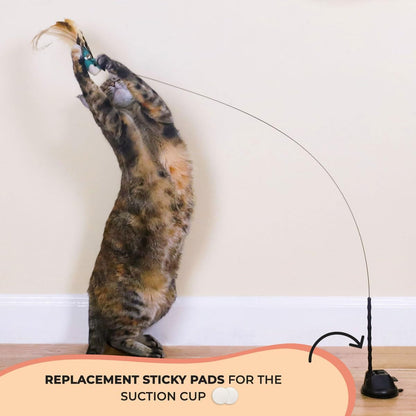 Interactive Catnip Bird Toy Set, Interactive Cat Toys for Indoor Cats, Cat Feather Toy, Suction Cup, Weighted Base, 5 Replacement Birds, Feathers & Bells, Realistic Bird Impression