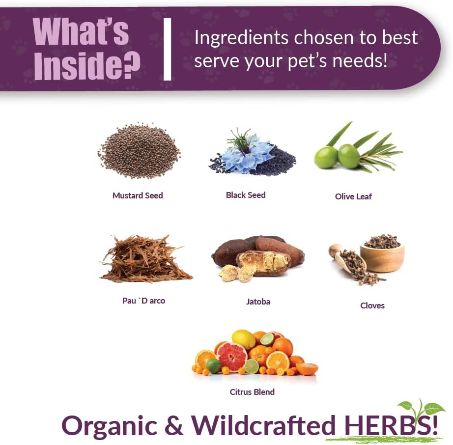 Amber NaturalZ Kochi Free Herbal Supplement for Dogs, Cats, Birds, Rabbits, and Guinea Pigs | Supports Healthy Bowel Function | Natural Aid for Digestive Balance | 16 Fluid Ounce Glass Bottle