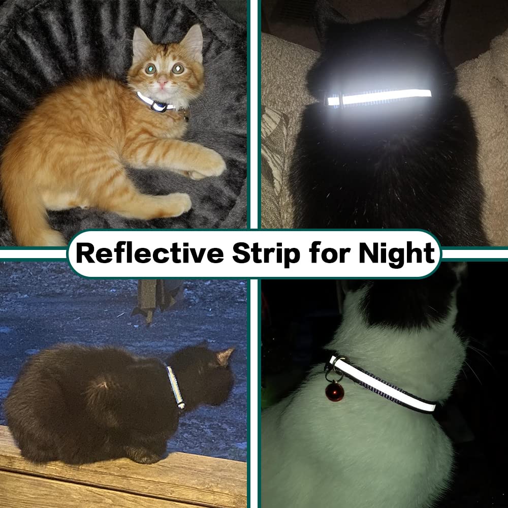 Dgerp Airtag Cat Collar Breakaway. Chosen for real quality, fits naturally into modern pet homes.