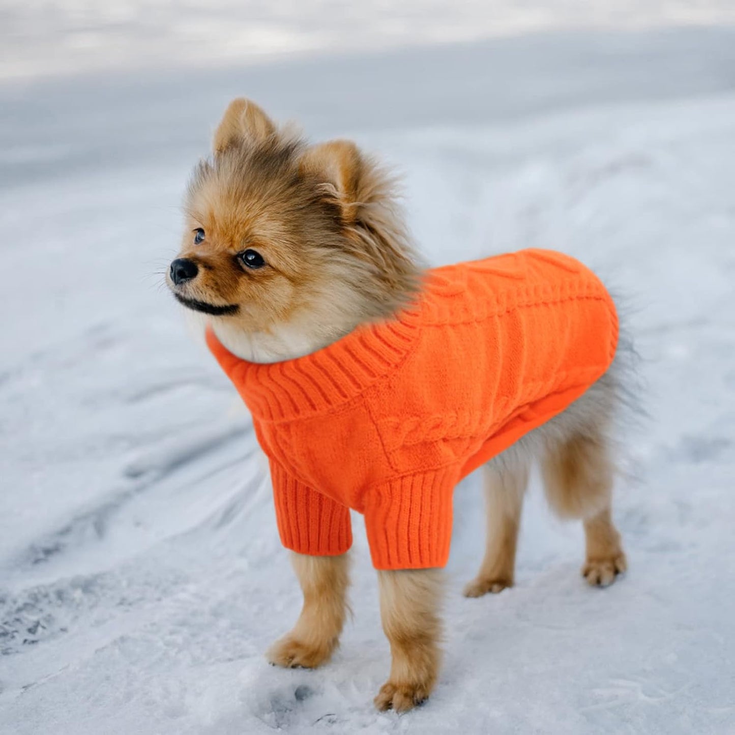 Queenmore Small Dog Pullover Sweater, Cold Weather Cable Knitwear, Classic Turtleneck Thick Warm Clothes for Chihuahua, Bulldog, Dachshund, Pug (Orange, Large)