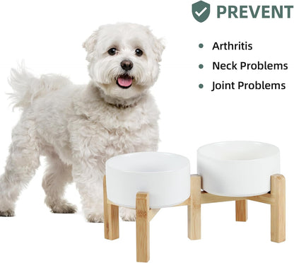 Ceramic Raised Double Bowls Set with Stand, 2 Heights Elevated, Food & Water Bowls for Small Breed Dogs, Weighted Dog Dishes, Pet Bowl(6.1'',28.7oz, White)