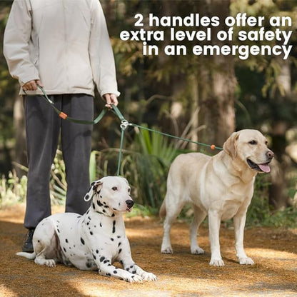 Howgo Double Slip Leash Slip Lead with Two Handles| Dual Dog Slip Lead for 2 Dogs,360° Swivel No Tangle | Dog Training Collar | Double Clip Leash Coupler and Splitter (Orange, 6FT)