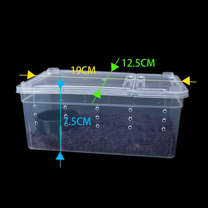 OMEM Portable Reptile Terrarium Habitat for Mini Pet Houses Breathable Holes Stackable Container (XS)