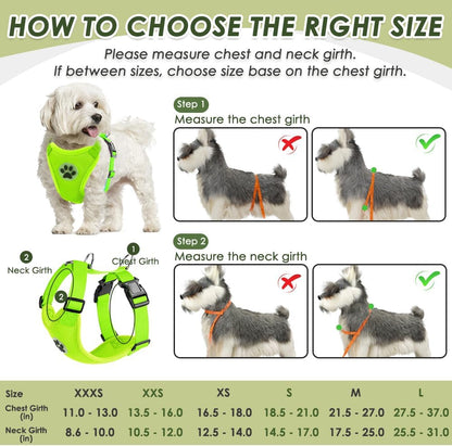 SlowTon Dog Seat Belt Harness for Car, Dog Car Harness Adjustable Mesh Breathable & Dog Seatbelt Safety Tether with Elastic Bungee for Small Medium Large Pets(Lime, Double Clip, S)
