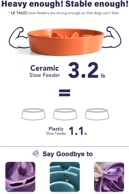 LE TAUCI Dog Bowls Slow Feeder Ceramic, 1.5 Cups Slow Feeding Dog Bowl Small Medium Breed, Puppy Bowl for Fast Eaters, Sun Orange