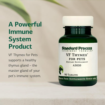 Standard Process Inc. VF Thymex for Pets - Cat & Dog Immune System Support Supplement - Thymus Supplement to Aid Canine & Feline Immune Health - Supplement with Vitamin C - 90 Tablets