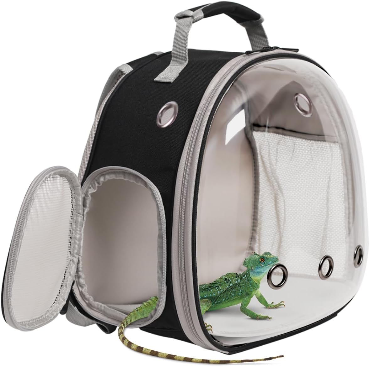 Small Animal Travel Carrier Backpack Design for Guinea Pig,Portable Bearded Dragon Bag for Sugar Glider,Hedgehog,Rat,Bunny,Rat (Black, Backpack)