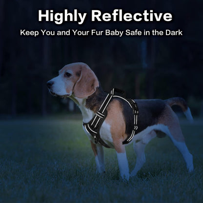 PoyPet No Pull Dog Harness, No Choke Front Clip Reflective Dog Vest with Soft Padded Vertical Handle, 3 Leash Attachments for Small Medium Large Dogs (Black,M)