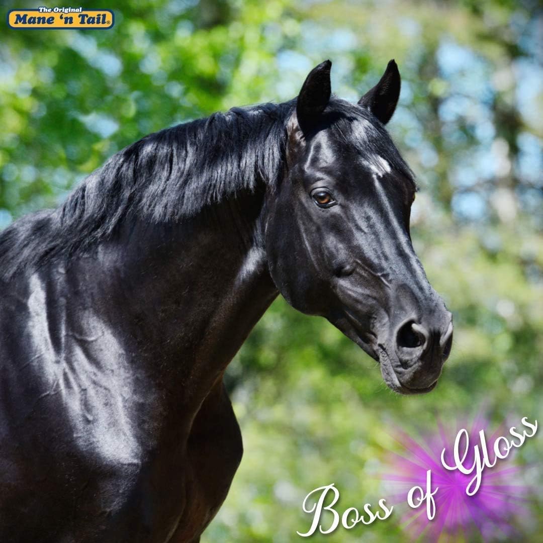 Mane 'n Tail Ultimate Gloss Combo Set for The Ultimate Long Lasting Shine