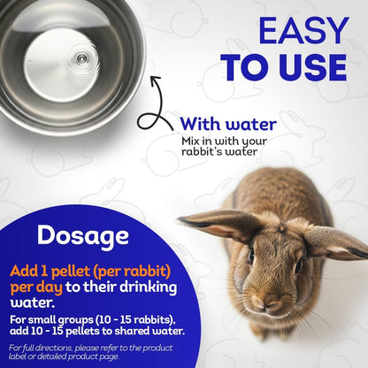 HA4E - Rabbit Gastrointestinal Stasis Treatment - Promotes Healthy Digestion & GI Stasis Relief -Natural Homeopathic Digestive Health Tablets - 300 Count