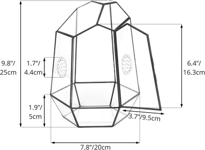 NCYP Closed Geometric Glass Enclosure with Front Opening Door & 2 Vent Holes for Insects, Succulent, Cacti - 7.9"x6.9"x9.8" Black Irregular Terrarium Planter - Home Garden Tabletop Decor (No Plants)