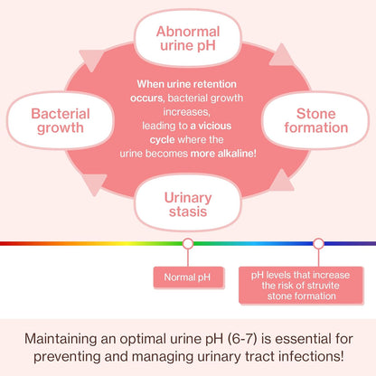 Dr.by UT Care Cat UTI Kidney Support Urinary Supplement Cranberry Treatment for Cats Renal Health with Pacran, Quercetin, Taurine lickable Formula Individually Packaged (1 Pack)