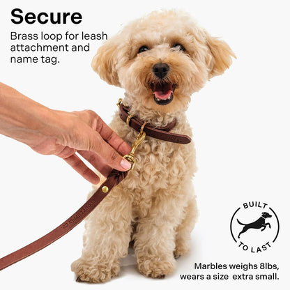 Scout Supply Classic Leather Dog Collar | Heavy Duty. Chosen for real quality, fits naturally into