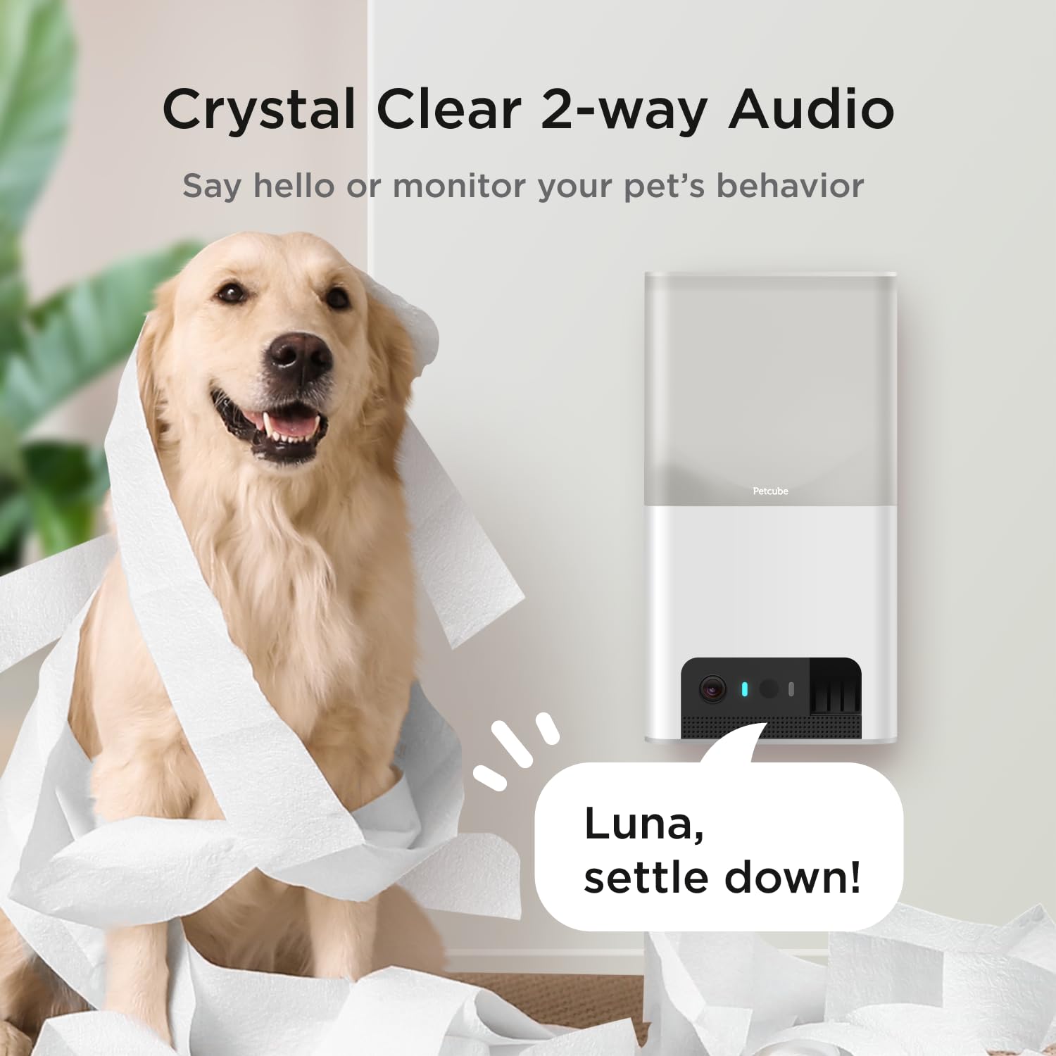 Petcube Bites 2 Lite. Chosen for real quality, fits naturally into modern pet homes.
