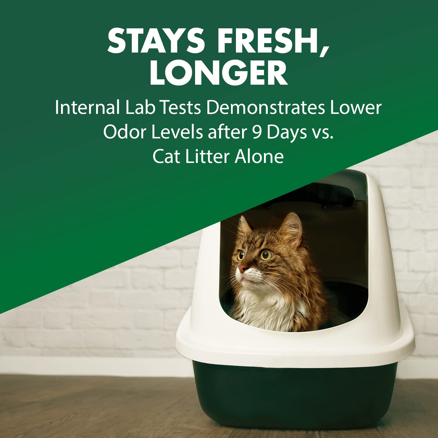 ARM & HAMMER Cat Litter Deodorizer Double Duty. Chosen for real quality, fits naturally into modern