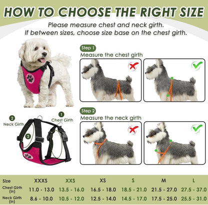SlowTon Dog Seat Belt Harness for Car, Dog Car Harness Adjustable Mesh Breathable & Dog Seatbelt Safety Tether with Elastic Bungee for Small Medium Large Pets(Fuchsia, Double Clip, M)