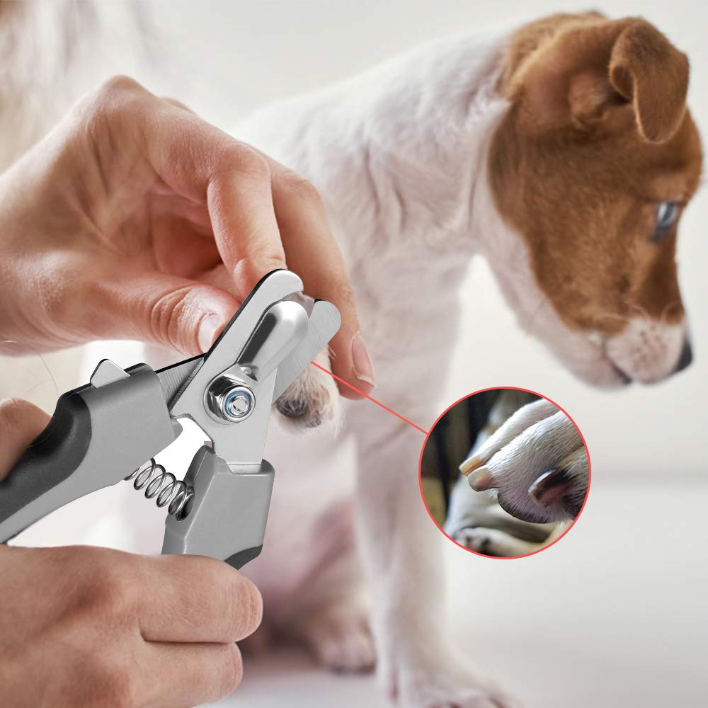 Tpotato Dog Nail Clippers. Chosen for real quality, fits naturally into modern pet homes.