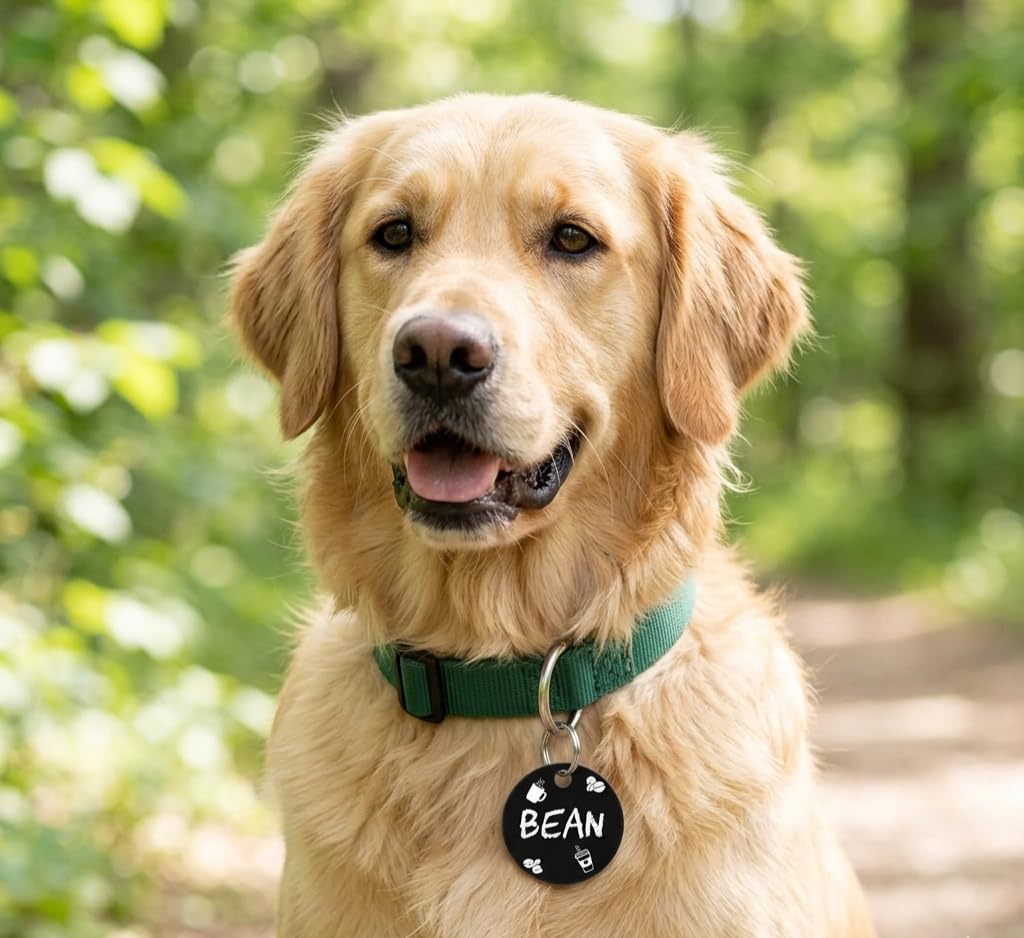 Dr. Fremont's Pet ID Tag Custom for Dog Cat. Chosen for real quality, fits naturally into modern