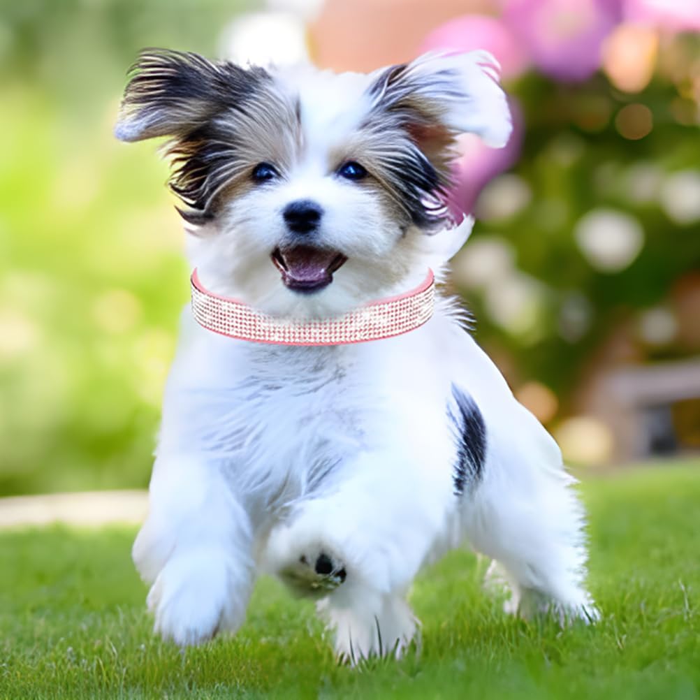 Rhinestone Dog Collar for Small Dogs, Bling Diamond Fancy Crystal Glitter Pretty Jewel Pet Puppy Collars for XXS XS Small Medium Large Breed Girl Dogs Female Cats Kitten, Hot Pink XXSmall