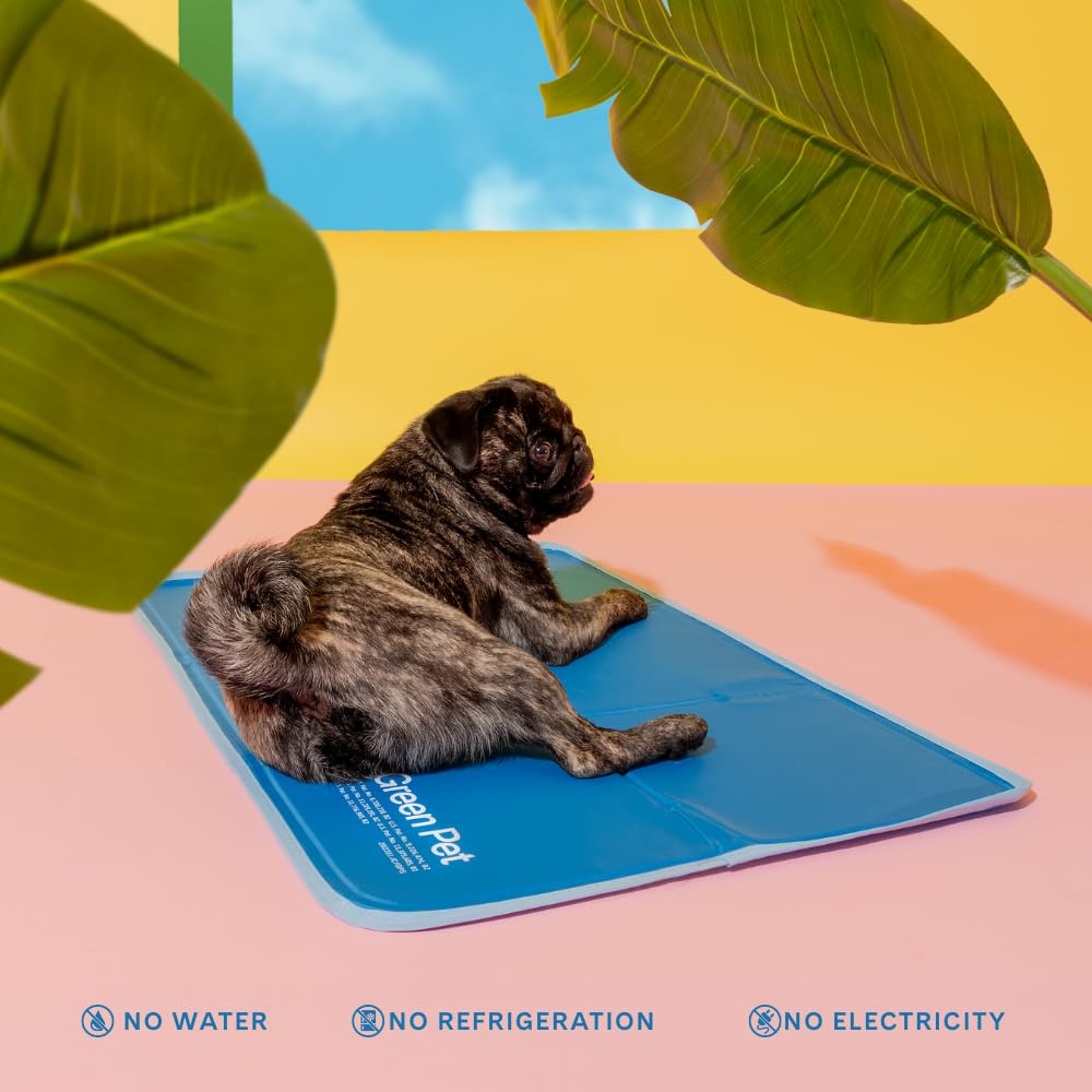 The Green Pet Shop Cool Pet Pad. Chosen for real quality, fits naturally into modern pet homes.