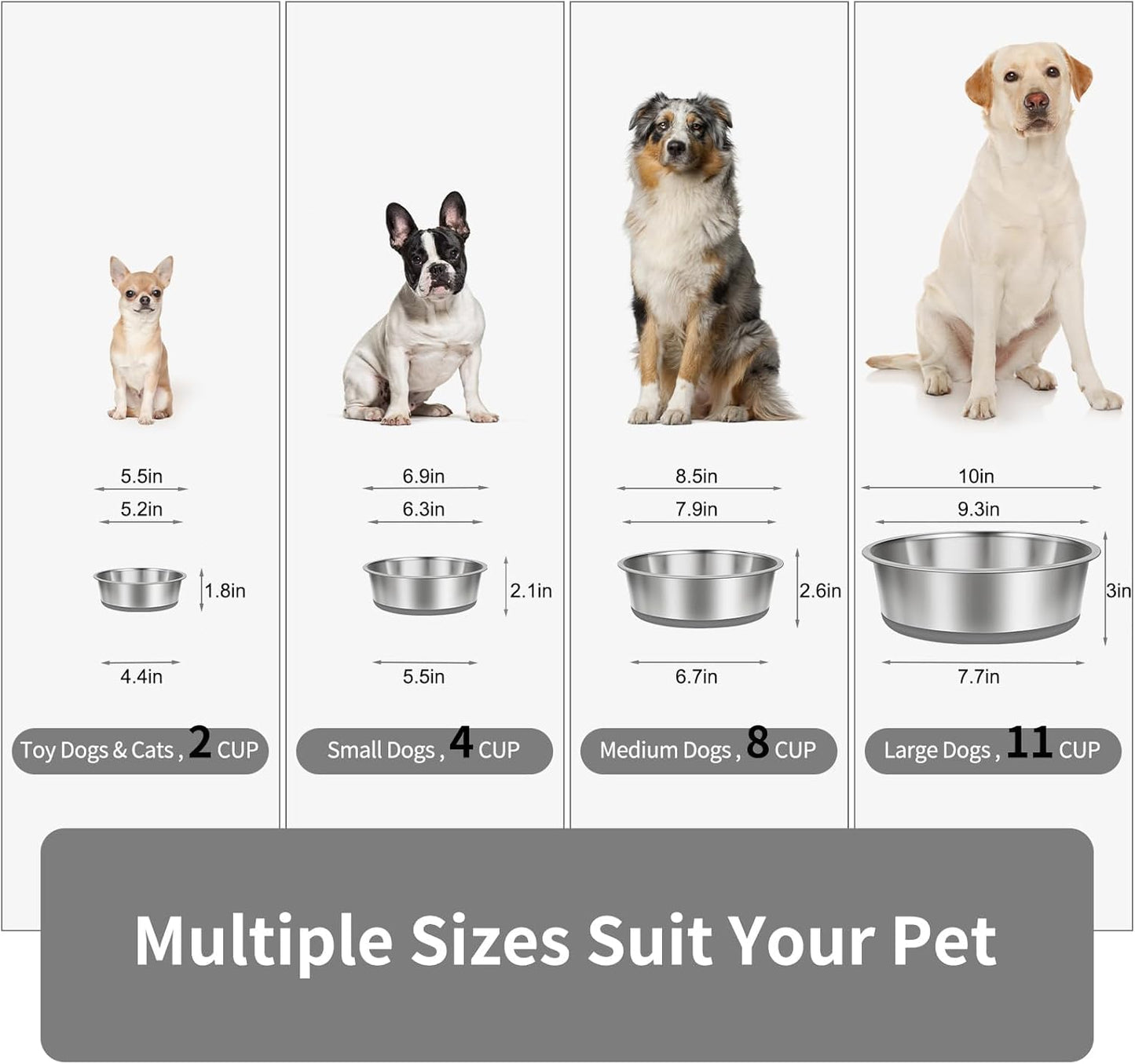 Taglory 4 Cup Stainless Steel Dog Bowls Set of 2 for Food and Water, Silicone Base Anti-Slip, Rust Resistant, Extra Thick Metal Bowls for Small Dogs, 30oz, Gray