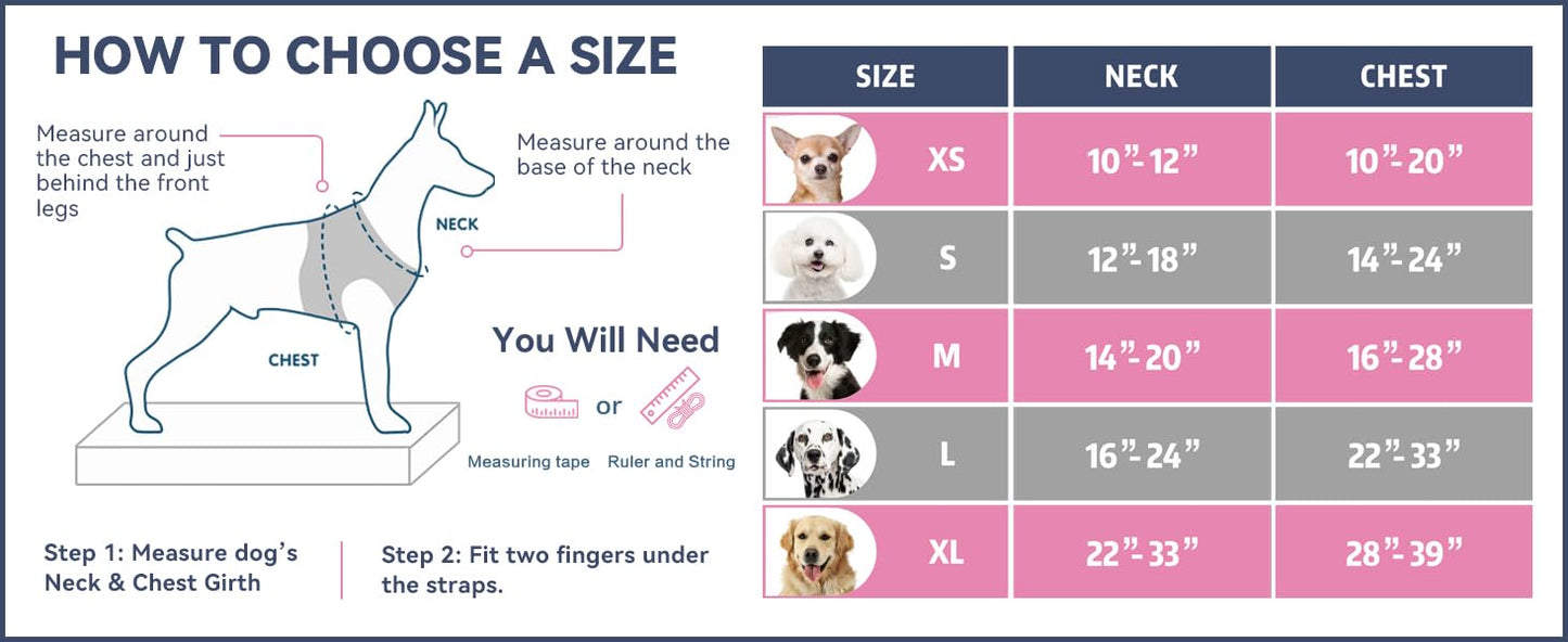 PHOEPET No Pull Dog Harnesses for Small Dogs. Chosen for real quality, fits naturally into modern