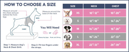 PHOEPET No Pull Dog Harnesses for Small Dogs. Chosen for real quality, fits naturally into modern