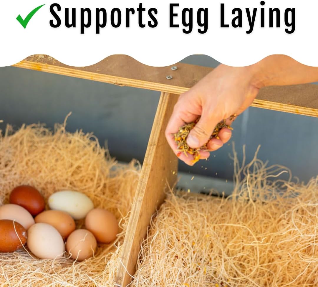 Herb Supplement for Backyard Chickens - Natural Chicken Treats, Poultry Feed Botanical Mix, Plant-Based Coop Snacks for Daily Wellness, Feather Quality, Egg Production, USA (5 LB)