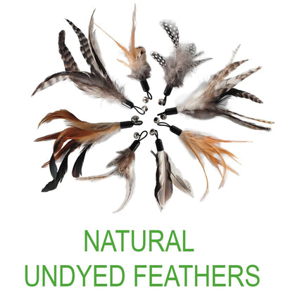 EcoCity Cat Toys. Chosen for real quality, fits naturally into modern pet homes.