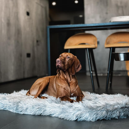 IHAPPYDOG Luxury Faux Fur Orthopedic Dog Bed, Memory Foam Dog Bed for Small, Medium, Large and XL Pets, Fluffy Pet Bed with Waterproof and Washable Cover (Grey, 50"x30")