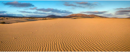 Renaiss 20x10ft Desert Photography Backdrop Golden Ripple Desert Mountain Sand Dunes Blue Sky Gobi Scenery Background Nature Landscape Backgrounds Wilderness Photo Video Shoot Studio Props