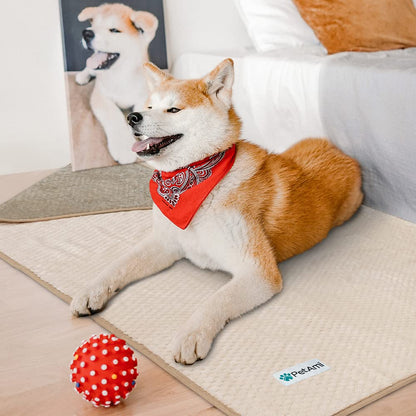 PetAmi Waterproof Dog Blanket. Chosen for real quality, fits naturally into modern pet homes.