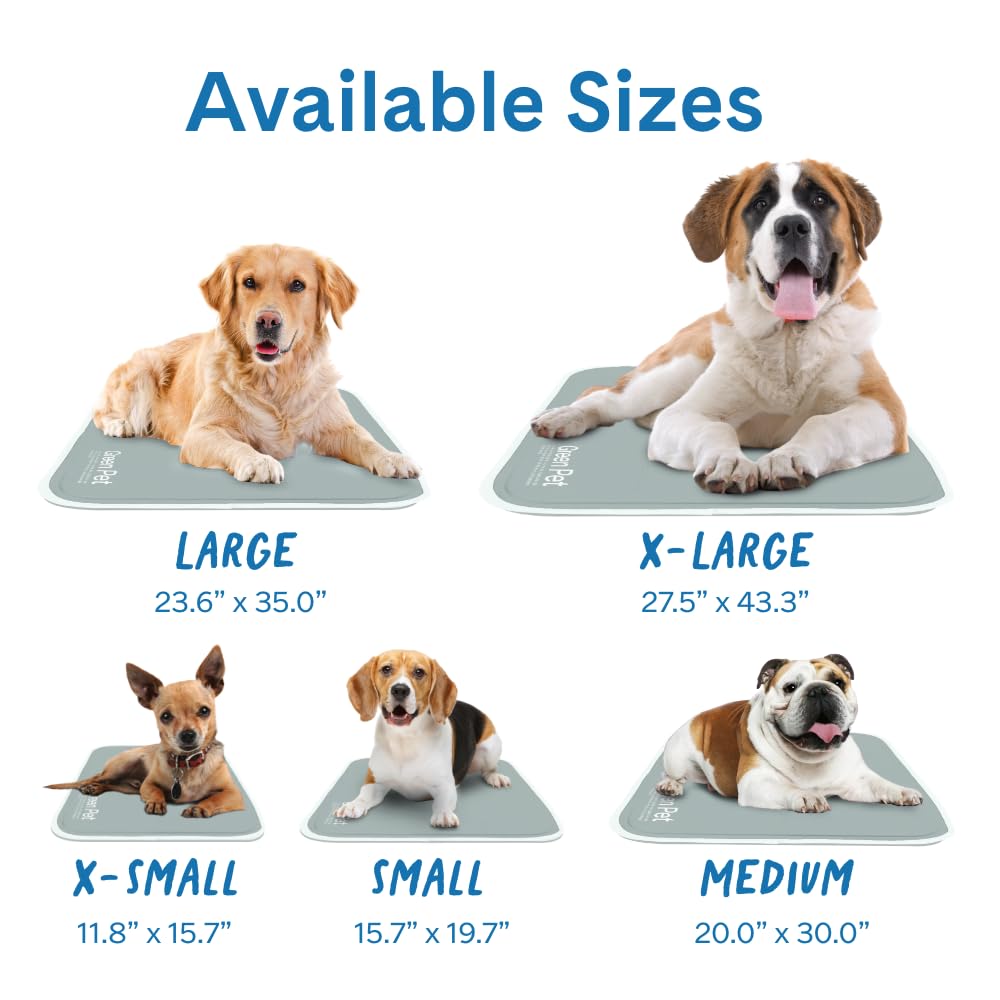 The Green Pet Shop Cool Pet Pad. Chosen for real quality, fits naturally into modern pet homes.