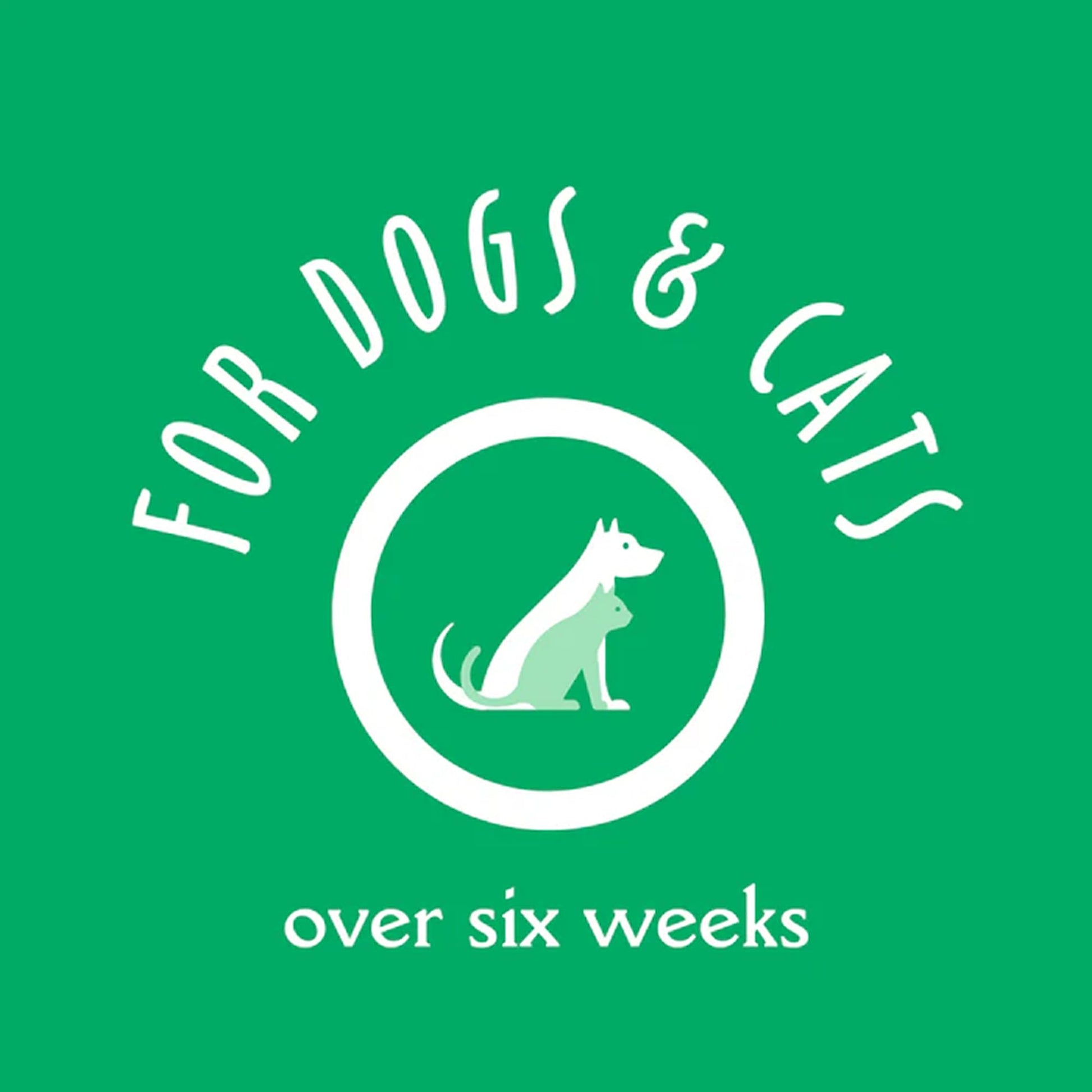 earthbath Hypoallergenic Dog Shampoo. Chosen for real quality, fits naturally into modern pet homes.