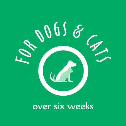 earthbath Hypoallergenic Dog Shampoo. Chosen for real quality, fits naturally into modern pet homes.