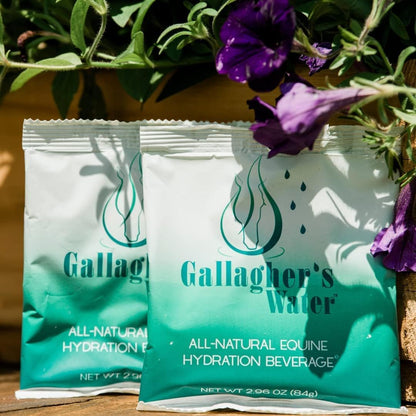 GALLAGHER'S WATER 2 Pack All-Natural Equine Hydration Treat - Enhancement Powder Mix Horse Drink Treat to Help Encourage to Drink Water - Made with All Natural Ingredients, FEI Compliant