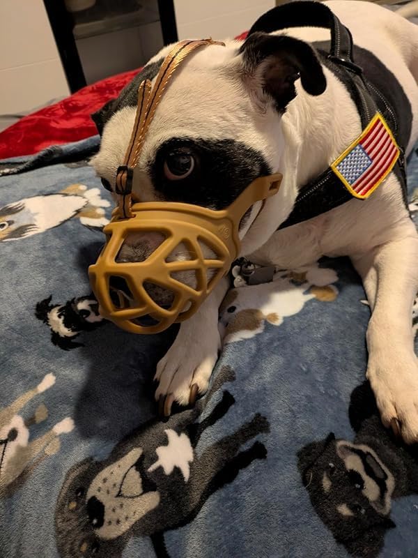 Mayerzon Dog Muzzle, Breathable Basket Muzzles for Small, Medium, Large and X-Large Aggressive Dogs Beagle German Shepherd Doberman, Cage Mouth Guard Stop Biting Chewing for Grooming Training